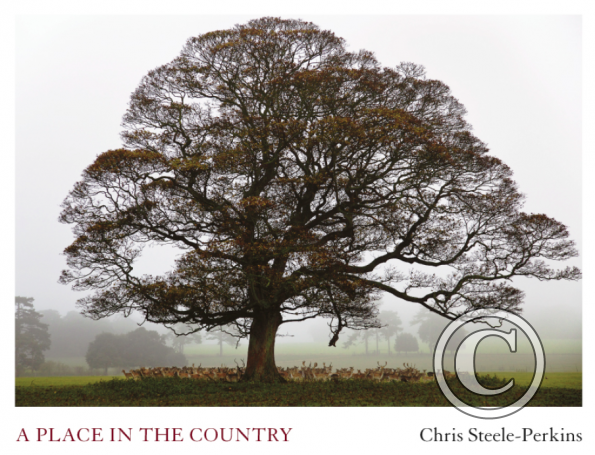 A Place in the Country, Cover