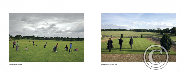 holkham pages 3